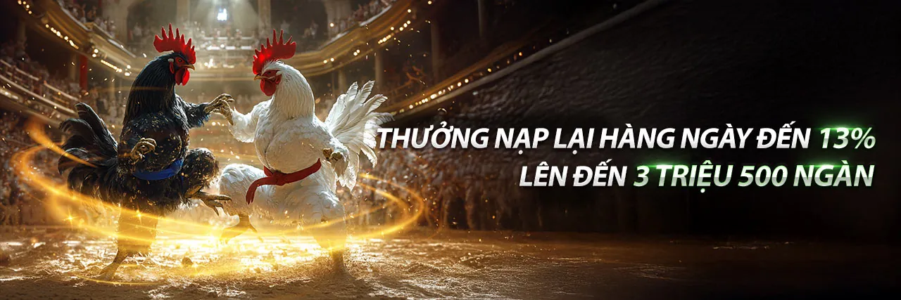 Hình ảnh một trận đấu esports với người chơi và khán giả